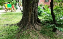 Дворы старого Сельмаша