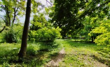 Дворы старого Сельмаша