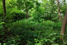 Дворы старого Сельмаша