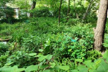 Дворы старого Сельмаша