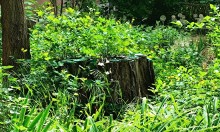 Дворы старого Сельмаша