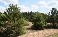 Источник "Горящий" на реке Свинурке впадающей в Калитву