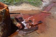 Источник "Горящий" на реке Свинурке впадающей в Калитву