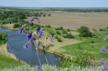 Весна на Кагальнике, на Осадной горе, буйное цветение трав