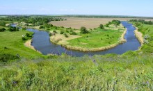 Весна на Кагальнике, на Осадной горе, буйное цветение трав