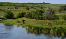 Весна на Кагальнике