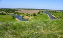 Весна на Кагальнике, на Осадной горе, буйное цветение трав