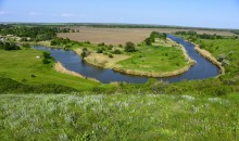 Весна на Кагальнике, на Осадной горе, буйное цветение трав