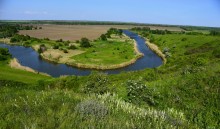 Весна на Кагальнике, на Осадной горе, буйное цветение трав
