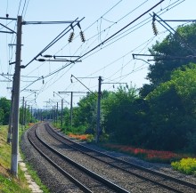 Маки у железной дороги в Аксае