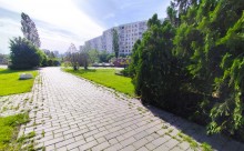 Ёжики на бульваре Комарова