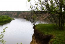 Крутояр на Дону у хутора Лебяженского