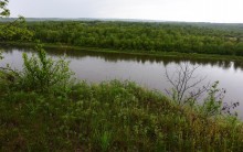 Крутояр на Дону у хутора Лебяженского