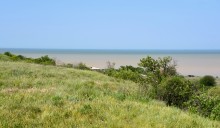 Чумбур-коса