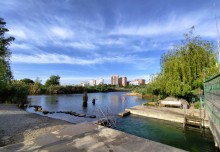 Рыбы, птицы и рыбаки, в первые дни июня на берегу Северного водохранилища