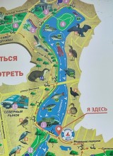 Рыбы, птицы и рыбаки, в первые дни июня на берегу Северного водохранилища