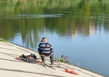 Рыбы, птицы и рыбаки, в первые дни июня на берегу Северного водохранилища