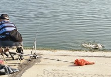 Рыбы, птицы и рыбаки, в первые дни июня на берегу Северного водохранилища