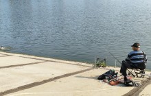 Рыбы, птицы и рыбаки, в первые дни июня на берегу Северного водохранилища