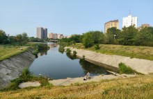 Рыбы, птицы и рыбаки, в первые дни июня на берегу Северного водохранилища