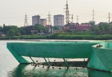 Рыбы, птицы и рыбаки, в первые дни июня на берегу Северного водохранилища