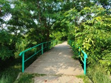 Рыбы, птицы и рыбаки, в первые дни июня на берегу Северного водохранилища