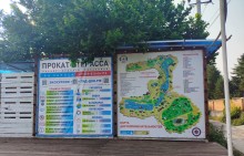 Рыбы, птицы и рыбаки, в первые дни июня на берегу Северного водохранилища