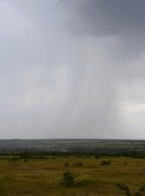 Кутовские скалы на Северском Донце у хутора Виноградного