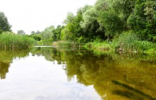 Летний день на Калитве у старой мельницы и брода между Ильинкой и Анновкой