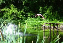 Летний день на Калитве у старой мельницы и брода между Ильинкой и Анновко