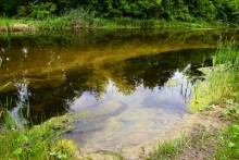 Летний день на Калитве у старой мельницы и брода между Ильинкой и Анновко