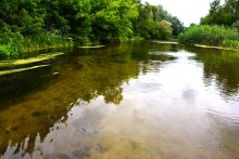 Летний день на Калитве у старой мельницы и брода между Ильинкой и Анновко