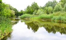 Летний день на Калитве у старой мельницы и брода между Ильинкой и Анновко