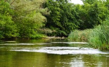 Летний день на Калитве у старой мельницы и брода между Ильинкой и Анновко