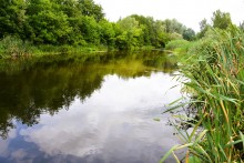 Летний день на Калитве у старой мельницы и брода между Ильинкой и Анновко