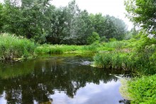 Летний день на Калитве у старой мельницы и брода между Ильинкой и Анновко