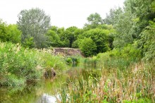 Летний день на Калитве у старой мельницы и брода между Ильинкой и Анновко