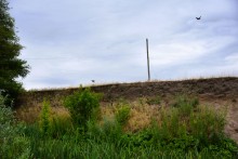 Летний день на Калитве у старой мельницы и брода между Ильинкой и Анновко