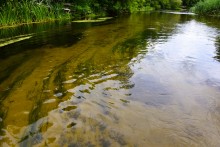 Летний день на Калитве у старой мельницы и брода между Ильинкой и Анновко