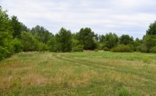 Летний день на Калитве у старой мельницы и брода между Ильинкой и Анновко