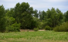Летний день на Калитве у старой мельницы и брода между Ильинкой и Анновко