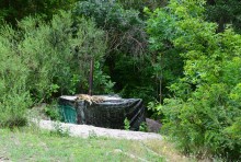 Летний день на Калитве у старой мельницы и брода между Ильинкой и Анновко