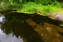 Летний день на Калитве у старой мельницы и брода между Ильинкой и Анновко