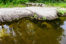 Летний день на Калитве у старой мельницы и брода между Ильинкой и Анновко