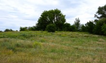 Летний день на Калитве у старой мельницы и брода между Ильинкой и Анновко