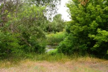Летний день на Калитве у старой мельницы и брода между Ильинкой и Анновко