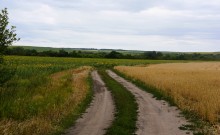 Летний день на Калитве у старой мельницы и брода между Ильинкой и Анновко