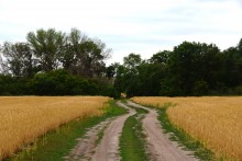 Летний день на Калитве у старой мельницы и брода между Ильинкой и Анновко