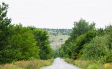 Летний день на Калитве у старой мельницы и брода между Ильинкой и Анновко