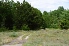 Летний день на Калитве у старой мельницы и брода между Ильинкой и Анновко
